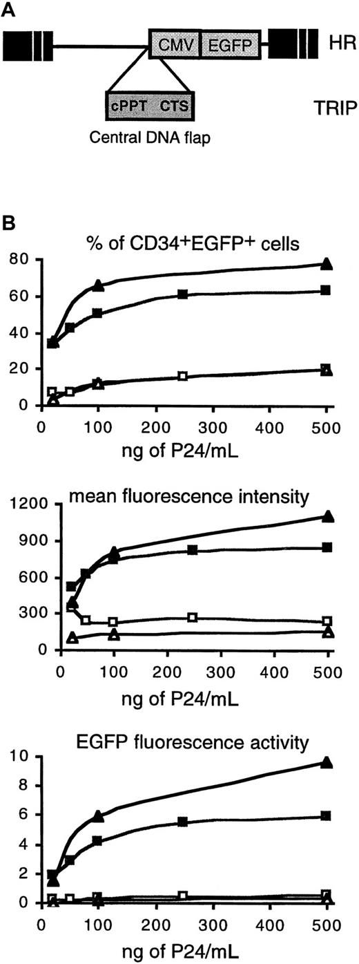 Fig. 1. The central DNA flap increases the transduction efficiency of human CD34+ and CD34+CD38− CB cells by lentiviral vectors. / (A) Vector constructs. The TRIP vector was derived from the previously described HR vector18 by the insertion, immediately upstream of the internal CMV promoter, of a central HIV-1 DNA fragment encompassing the cPPT and CTS cis-active sequences. cPPT and CTS cis-active sequences are responsible for the formation of the DNA flap during HIV-1 reverse transcription.1315 Both vectors encode EGFP. (B) Dose-response transduction experiments with TRIP (▪, ▴) and HR (■, ▵) vectors. CD34+ CB cells (▪, ■) or CD34+CD38− cells (▴, ▵) from the same CB were exposed to vector particles for 24 hours in serum-free medium in the presence of cytokines, and after an additional 48 hours of culture, EGFP expression was analyzed by flow cytometry (“Materials and methods”). The upper panel shows the percentage of CD34+EGFP+ cells, and the middle panel shows the MFI of the CD34+EGFP+ cell population. The lower panel shows the EGFP fluorescence activity of the CD34+EGFP+ cell population (percentage of CD34+EGFP+ cells multiplied by the MFI, arbitrary units). All are plotted as a function of vector concentration normalized according to P24 levels. The data shown are the results of one representative experiment out of 3 independent experiments.