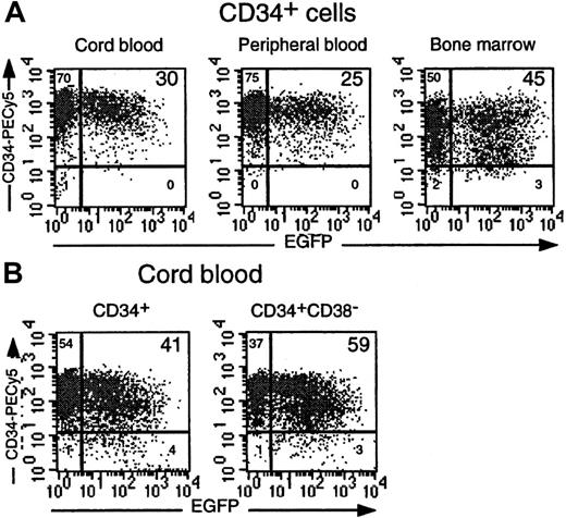 Fig. 3. CD34+ cells from different hematopoietic origins are efficiently transduced by the TRIP vector. / (A) Comparison of EGFP expression in purified CD34+ cells from CB, adult PBMC, and BM cells transduced in parallel using a TRIP vector concentration of 100 ng P24/mL. Dot-plot analyses demonstrating EGFP and CD34 expression are shown. (B) EGFP expression in identically transduced CD34+ and CD34+CD38−cells isolated from the same CB sample. Percentages of gated cells are indicated in each quadrant.