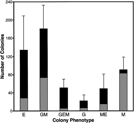 Fig. 2. Colony formation of quail bone marrow cells in MeC. / HPC-enriched bone marrow from ED14 quail embryos was incubated in MeC for 6 days, prior to colony counting. The numbers of colonies per 5 × 104 seeded HPCs per culture are indicated on the y-axis. These colonies numbers were tabulated according to both cell phenotype and size, with gray and black bars denoting colonies of 20 to 50 cells and more than 50 cells, respectively. The results are presented as mean values for 5 separate experiments, with the error bars corresponding to the SD of total numbers for each colony category. The categories indicated on the x-axis are for colonies of erythroid (E), granulocyte/macrophage (GM), granulocyte/erythroid/macrophage (GEM), granulocyte (G), macrophage/erythroid (ME), and macrophage (M) lineage cells.