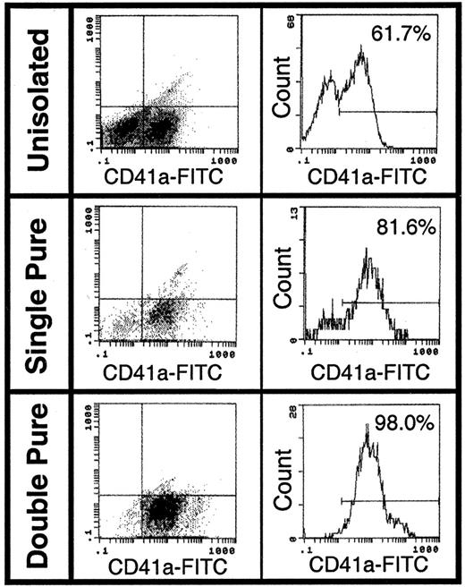 Fig. 1. Purification of human CD41a+ cells. / An enriched population of MKs was isolated after labeling with anti–CD41a-FITC antibody and anti-FITC immunomagnetic microbeads in the presence of 2 inhibitors of MK activation, adenosine and theophylline. The cells were analyzed by flow cytometry after having been passed once (single pure) and twice (double pure) through a magnetic column. This technique resulted in the isolation of a 98% pure CD41a+ MK population.