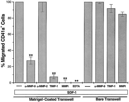 Fig. 5. Immunoneutralizing antibody for MMP-9 (500 ng/condition) and rhTIMP-1 (300 ng/condition) blocked SDF-1–induced migration of MKs through Matrigel-coated transwells. / This inhibitory effect was not seen with an anti–MMP-2 mAb (500 ng/condition). The anti–MMP-9 mAb and rhTIMP-1 did not block the migration of MK through bare transwells, indicating that MMP-9 is required to break down components of the basement membrane for successful MK migration. Synthetic MMP inhibitors also prevent MK migration. EDTA (1.5 mmol/L) was used as a negative migration control. Results are shown as the percentage of SDF-1–induced migration (SDF-1 alone was considered 100%) and are representative of 4 independent experiments (n = 4; **P < .005 compared to SDF-1 alone).