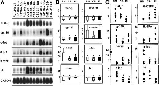 Fig. 2. Comparative analysis of gene expression in CD34+ subpopulations from adult BM, cord blood (CB), and fetal liver (FL). / Panel A shows a representative Southern blot analysis of cDNAs for 7 genes expressed in the matching CD34+CD38− and CD34+CD38+ subpopulations isolated from 2 different samples of each tissue. Panel B shows the results of a quantitative comparison of the different levels of transcripts in the CD38− and CD38+ subsets of CD34+cells obtained from a total of 3 samples of each different tissue. In each case the value shown is the mean ± SEM of the normalized gene-specific transcript levels in the CD34+CD38+ subset expressed as a fraction of the levels measured in the matching CD34+CD38−population (set = 1.0) as described in the “Materials and methods.” Panel C shows a quantitative analysis of the relative levels of expression of the same genes as shown in panel B but, in this case, comparing the results for the CD34+CD38− subset in CB and FL with the CD34+CD38− data from adult BM examined on the same filter. The result for the CD34+CD38−cells from each sample (panel B) was thus first normalized and then expressed as a proportion of the average value obtained for all adult BM CD34+CD38− samples analyzed using the same probe (average value set = 1.0, n = 5). In panels B and C, significant differences between the test and the reference population (P < .05) are indicated by an asterisk (*).