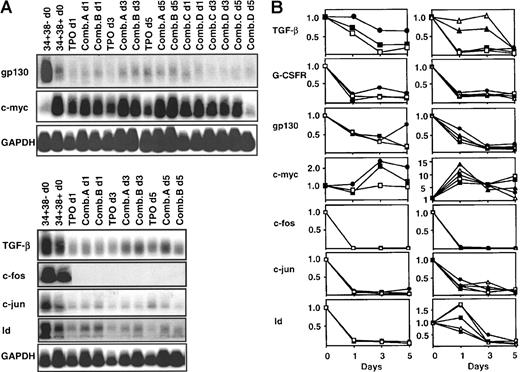 Fig. 4. Time course of changes in gene expression in variously growth factor-stimulated primitive adult BM cells. / Panel A shows the Southern blot analyses of transcript cDNAs detected in 2 independent experiments in which FACS-sorted CD34+CD38− cells were stimulated with one of 5 different growth factor conditions (as shown) and the cells harvested for RT-PCR analysis at the times indicated. Panel B shows the same data normalized as described in the “Materials and methods” using the corresponding starting CD34+CD38− BM cells as the reference population in each case (values set = 1.0). Each symbol identifies the results obtained for a different growth factor condition (●, TPO; ■, Comb. A; □, Comb. B; ▴, Comb. C; Δ, Comb. D).