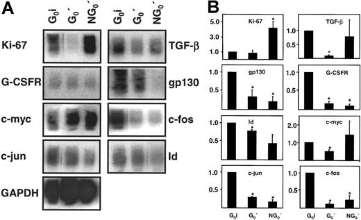 Fig. 6. Analysis of changes in gene expression in growth factor-stimulated adult BM CD34+ cells remaining quiescent for 40 hours. / Panel A shows representative blots comparing transcript cDNAs for 9 genes expressed in freshly isolated CD34+ G0(G0i) cells, cells found to be still in G0after 40 hours in culture (G0′ cells), and the remaining (NG0′) cells. Cells were cultured and isolated as described in Figure 5 and then RNA extracts were prepared and subjected to semiquantitative RT-PCR analysis as described in the “Materials and methods.” Panel B shows the same data quantitated and normalized as in Figure 2, but using the G0i cells as the reference population in this case (value for each transcript = 1.0 for the G0i cells). Shown are the mean ± SEM of data from 3 independent experiments in each of which BM cells from a different individual were used. Values found to be significantly different from 1.0 (P < .05) are indicated by an asterisk (*).