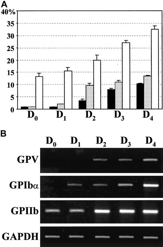Fig. 4. Cell surface protein and mRNA expression of GPV, GPIbα, and GPIIb during the first days of culture. / (A) Cell surface expression of GPV (▪), GPIbα (░), and GPIIb-IIIa (CD41, ■) was followed by flow cytometry (Figure 2) until day 4 of culture. Results are expressed as the percentage of positive cells and are the mean ± SEM of 3 separate experiments. (B) The presence of GAPDH (positive control), GPV, GPIbα, and GPIIb transcripts was assessed by RT-PCR analysis.