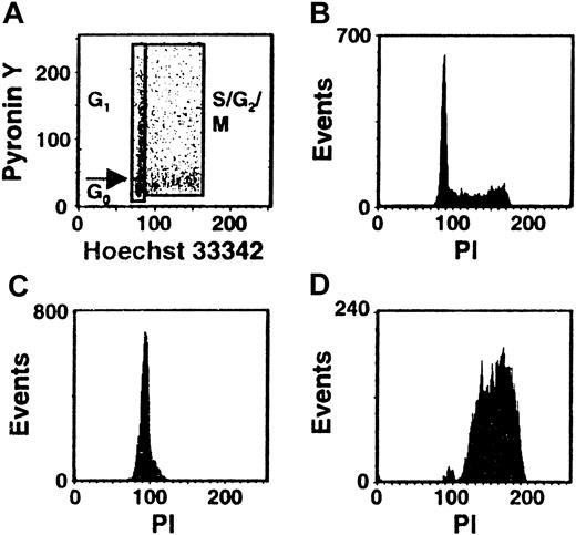 Fig. 1. Distribution of the total population of cultured CB cells in different phases of the cell cycle. / CD34+ CB cells were cultured for 5 days in serum-free medium containing TPO (1day) and FL + SF + IL-3 + IL-6 + G-CSF (4 days) and then stained with Hst and Py and analyzed by FACS using the gates shown. A representative profile is shown in panel A. Corresponding FACS profiles are also shown for the total cultured CB cells (B) and the isolated G0/G1 (C) and S/G2/M (D) fractions after restaining of the fixed cells with PI.