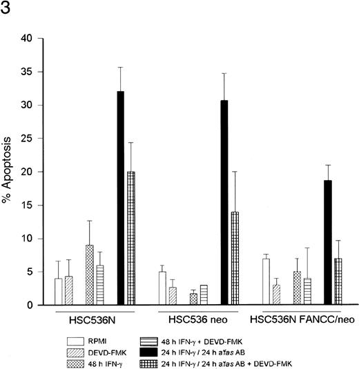 Fig. 3. IFN-γ and agonistic anti-fas antibody treatment triggers an apoptotic response. / The HSC536N, HSC536N FANCC/neo, and HSC536N FANCC cells were exposed to either 1 ng/mL IFN-γ for 48 hours or to IFN-γ for 24 hours followed by 24 hours of exposure to 100 ng/mL fas antibody before cells were harvested and analyzed for apoptosis using the TUNEL assay. Pretreatment with 25 μmol/L Z-DEVD-FMK blunted the apoptotic response in all 3 cell lines.