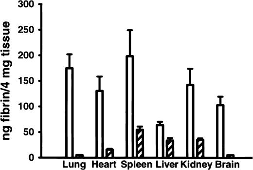 Fig. 3. Tissue fibrin deposition in various organs in. / FvQ/Q and Fv+/+ mice. Tissue fibrin deposition in various organs is elevated in FvQ/Q mouse (n = 5) compared withFv+/+ mice (n = 5). Open bars represent FvQ/Q mice, and hatched bars represent Fv+/+ mice.