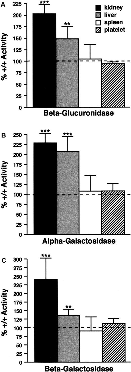 Fig. 4. Lysosomal enzyme levels. / Lysosomal enzyme levels are abnormal in some cno/cnotissues. (A) (B) (C) β-glucuronidase (panel A), α-galactosidase (panel B), and β-galactosidase (panel C) activity in kidneys, liver, spleen, and platelets from cno/cno mice. Results are expressed as the percentage of wild-type activity (100%), indicated by the dashed line in each panel. Enzyme levels are significantly increased in cno/cno kidney and liver, but not spleen or platelets. **P < .01; ***P < .001; n = 5 for all determinations.