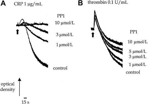 Fig. 1. Effect of PP1 on CRP and thrombin-stimulated aggregation. / Platelets were incubated with 0.1% DMSO or PP1 for 5 minutes before the addition of the agonist. (A) Shape change and aggregation of wild-type murine platelets was measured in a Born aggregometer after stimulation with CRP (1.0 μg/mL) in the absence and presence of PP1 (1-10 μmol/L). (B) Aggregation of wild-type murine platelets to thrombin (0.1 U/mL) was measured in the absence or presence of PP1 (1-10 μmol/L). Arrowhead indicates the time of agonist addition. The experiment is representative of 3 experiments with similar results.