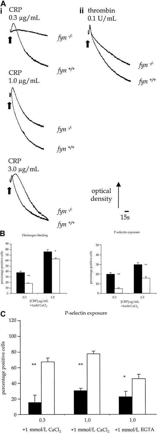 Fig. 5. Functional responses of control and kinase-deficient platelets. / (A) Platelet shape change and aggregation stimulated with CRP or thrombin. (i) Wild-type and fyn−/− platelets stimulated with CRP (0.3-3.0 μg/mL). (ii) Wild-type andfyn−/− platelets stimulated with thrombin (0.1 U/mL). Results are representative of 5 experiments. (B) Fibrinogen binding and P-selectin exposure in fyn−/−platelets stimulated by CRP in the presence of 1mmol/L CaCl2. The results are mean ± standard error of mean of 4 experiments. ▪ indicates fyn+/+; ■,fyn−/−; *, P < .05; **,P < .01). (C) P-selectin exposure inlyn−/− platelets stimulated by CRP in the presence of 1 mmol/L CaCl2 or 1 mmol/L EGTA. The results are mean ± standard error of mean of 4 experiments. ▪ indicateslyn+/+; ■, lyn−/−; *,P < .05; **, P < .01.