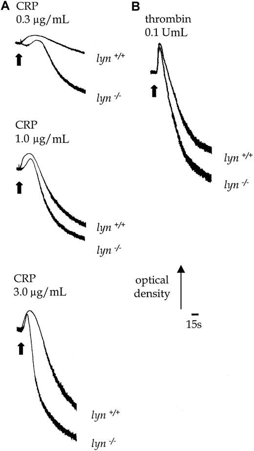 Fig. 8. Aggregation responses in lyn−/−compared with wild-type platelets. / Shape change and aggregation of wild-type andlyn−/− platelets in response to CRP (A, 0.3-3.0 μg/mL) and thrombin (B, 0.1 U/mL) were measured in a Born aggregometer. Other conditions are as in the legend to Figure 1. Results are representative of 3 experiments.