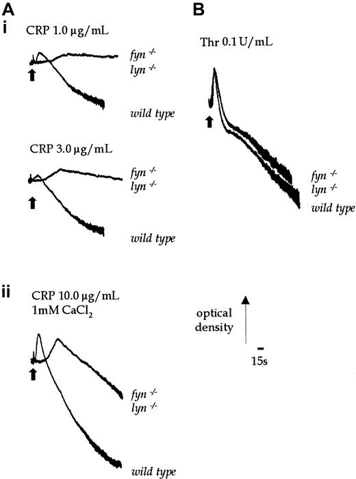 Fig. 10. Aggregation stimulated by CRP in wild-type andfyn−/−lyn−/− platelets. / (Ai) Shape change of wild-type andfyn−/−lyn−/− platelets was stimulated by CRP (1.0-3.0 μg/mL). (Aii) Aggregation of wild-type andfyn−/−lyn−/− platelets was induced by a higher concentration of CRP (10.0 μg/mL) in the presence of added 1 mmol/L CaCl2. (B) Aggregation of wild-type andfyn−/−lyn−/− platelets was stimulated with 0.1 U/mL thrombin. Results are representative of 3 experiments.