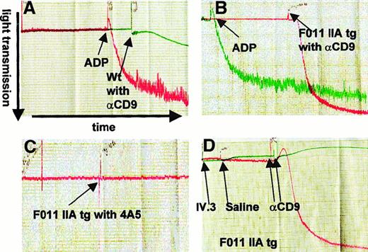 Fig. 1. Anti-CD9 antibody activates FcγRIIA tg mouse platelets in an FcγRIIA-dependent manner. / Tracings from in vitro platelet aggregometry assays are shown. Platelet aggregation is measured as light transmission over time. (A) Platelet-rich plasma (PRP) from wild-type mice treated with either anti-CD9 antibody (αCD9) at a final concentration of 40 μg/mL, in green, or treated with ADP (positive control, red) at a final concentration of 10 μmol/L shows no activation by anti-CD9. (B) PRP from FcγRIIA tg mice (F0 11) treated with 40 μg/mL αCD9, in red, or 10 μmol/L final concentration ADP (green), shows activation by anti-CD9. (C) PRP from FcγRIIA tg mice treated with 40 μg/mL antiplatelet antibody 4A5, in red, shows no activation. (D) PRP from FcγRIIA tg mice treated with 20 μg/mL αCD9 following pretreatment with 20 μg/mL IV.3, an anti-FcγRIIA antibody (green), or saline (red), shows blockade of activation by IV.3 but not saline.