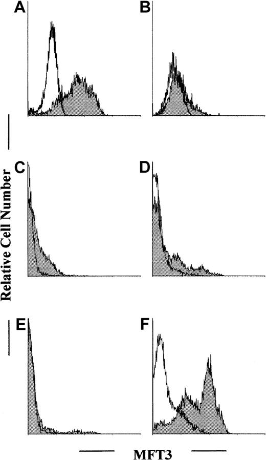 Fig. 1. Flow cytometric analysis of MFT3 antigen expression in T-cell clones and in cells from various lymphoid tissues. / Autoreactive T-cell clones KGU139 (A) and KGU140 (B) derived from B/WF1 mice were stained with MFT3 monoclonal antibody (mAb; IgG2a) followed by fluorescein isothiocyanate conjugated (FITC)–MAR18.5 and analyzed on a fluorescence-activated cell-sorter scanner (FACScan). Cells from the thymus (C), spleen (D), lymph nodes (E), and bone marrow (F) of BALB/c mice were stained and analyzed as above. The shaded histogram shows results from staining with MFT3 mAb; and the open histogram, results from staining without MFT3 mAb.