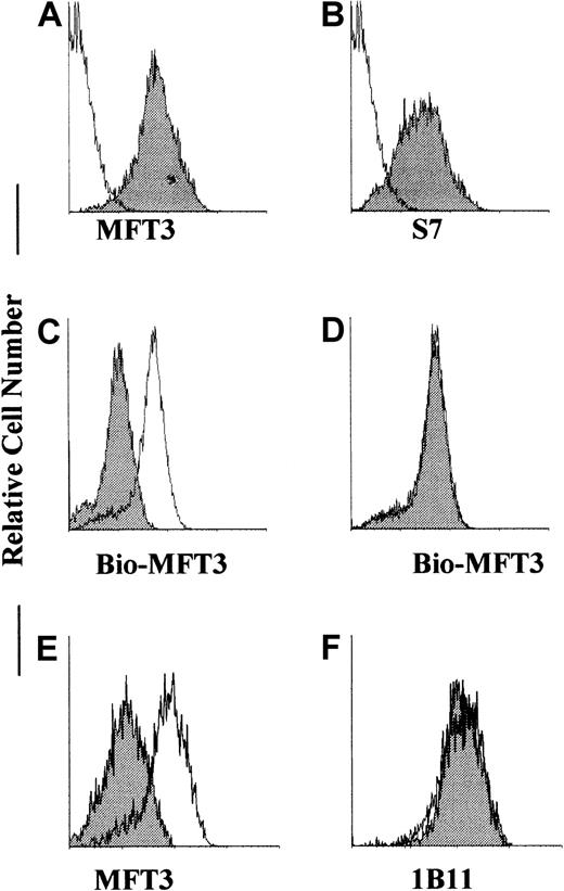 Fig. 3. MFT3 mAb reacted with CD43 gene products. / 293 cells were stably transfected with CD43 complementary DNA (cDNA), stained with MFT3 (A) or S7 (B) mAb followed by FITC-MAR18.5, and analyzed on a FACScan. The shaded histogram shows results from staining with the first mAb; and the open histogram, results from staining without the first mAb. CD43 transfectant 293 cell lines were pretreated with 1B11 (C) or S7 (D), washed, stained with biotinylated MFT3 mAb followed by FITC-streptavidin, and analyzed on a FACScan. The shaded histogram shows results after pretreatment with mAbs; and the open histogram, results with no treatment. CD43 transfectant 293 cell lines were treated with 100 mU/ml neuraminidase, washed, and stained with MFT3 (E) or 1B11 (F) followed by FITC-MAR18.5. The shaded histogram show results after neuraminidase treatment; and the open histogram, results without neuraminidase treatment.