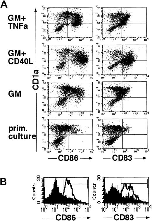 Fig. 3. Generated LCs acquire mature DC features in defined serum-free 2° cultures. / Cells were generated in serum-free medium in the presence of TGF-β1, as shown in Figure 1. They were resuspended and plated in serum-free 2° cultures and further stimulated in the presence of cytokines (see “Materials and methods”). As shown in (A), 2° cultures were supplemented with either GM-CSF (GM) plus TNFα, GM-CSF plus CD40L, or GM-CSF alone. Control cultures represent primary cultures in which cell clusters were left undisturbed and which were maintained over the 48-hour secondary culture period. Diagrams show representative flow cytometric analyses of cells from these 2° cultures or from primary control cultures for the expression of CD86 or CD83 versus CD1a (see “Materials and methods”). (B) Representative CD86 or CD83 expression profiles of cells after resuspension and further stimulation in 2° cultures supplemented with fresh medium containing the cytokines TGF-β1 plus GM-CSF, TNFα, SCF, and FL (lines). Overlay diagrams (filled) show parallel cultures set up in identical fresh cytokine-supplemented growth medium without resuspension (ie, representing undisturbed cell clusters). Markers were set according to negative control cultures.