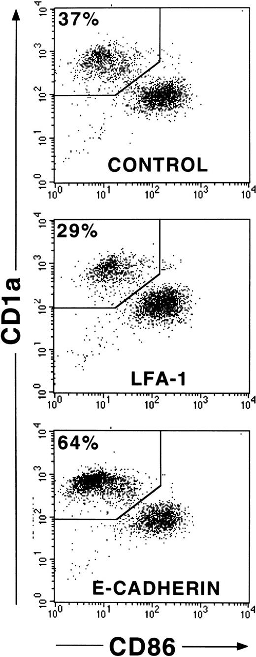 Fig. 8. Effects of mAb addition on maturation of purified CD1a+ LCs. / CD34+ cells were cultured in the presence of GM-CSF plus TNFα, SCF, FL, and TGF-β1 in serum-free medium (see “Materials and methods”). CD1a+ cells from these 1° cultures generated after 10 to 12 days were purified by flow sorting and replated in 2° cultures at a high cell density and in the presence or absence of mAbs to adhesion molecules as indicated (see “Materials and methods”). Diagrams show CD86 versus CD1a molecule expression of cells from representative 2° cultures (after 24 hours of culture) supplemented with mAbs, as indicated. Markers were set according to isotype-matched negative control staining (n = 4).