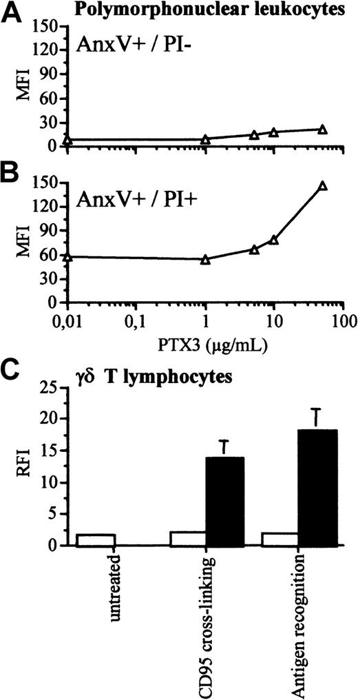 Fig. 4. Polymorphonuclear leukocytes and γδ T lymphocytes acquire the ability to bind to biotinylated PTX3 only when undergoing late apoptosis in vitro. / Human polymorphonuclear leukocytes were purified from peripheral blood and allowed to undergo apoptosis in vitro. (A) The early apoptotic cell population, identified after 16 hours as annexin V+ cells that excluded PI did not bind to biotinylated PTX 3 (y-axis, mean fluorescence intensity). (B) Upon prolonged in vitro culture (72 hours), polymorphonuclear leukocytes lost the ability to exclude PI and acquired the ability to bind to biotinylated PTX3. (C) The ability of nontransformed γδ T cells to bind to PTX3 was assessed by flow cytometry after apoptosis induced by CD95 cross-linking or recognition of the tubercular antigen isopentenylpyrophosphate. Results of the binding of cells undergoing early apoptosis (PI−, □) or late apoptosis (PI+, ■) are reported as RFI (y-axis), calculated by dividing the mean fluorescence intensity in the presence of biotinylated PTX3 and FITC-streptavidin with that obtained in the presence of FITC-streptavidin alone.