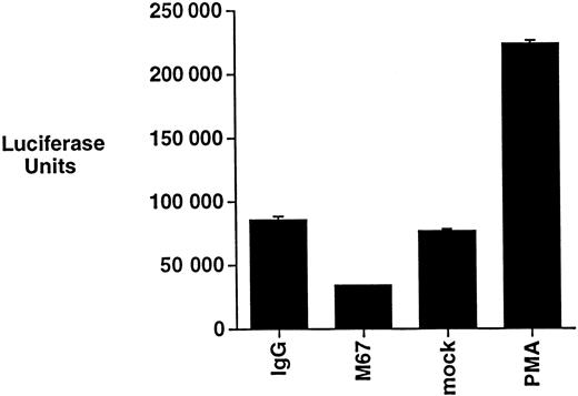 Fig. 2. CD30 activation does not induce NF-κB activation in ALCL cells. / Michel cells were transfected with a luciferase reporter containing NF-κB binding sites. Cells were incubated with the immobilized CD30 agonistic antibodies M67 or isotype control antibodies for 12 hours and assayed for luciferase activity. Transfected cells were also incubated with either PMA (20 ng/mL) or a media control under the same conditions and assayed for luciferase activity.