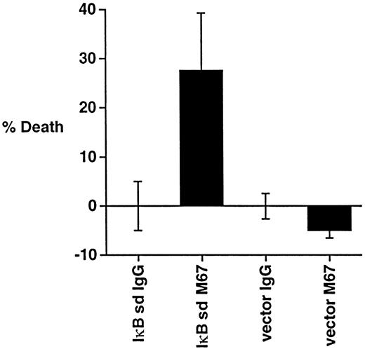 Fig. 4. Inhibition of NF-κB sensitizes HD cells to CD30-induced death. / L428 cells were transfected with 5 μg of a GFP plasmid, along with 10 μg of either a control plasmid (pEBB) or a superdominant (sd) IκBα plasmid as indicated. Cells were incubated with the immobilized CD30 agonistic antibodies M67 or isotype control antibodies for 18 hours before measuring for viability as described in “Materials and methods.”