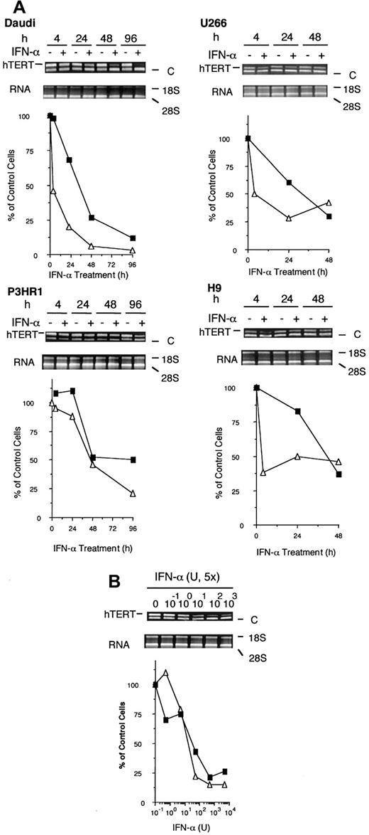 Fig. 1. Effects of IFN-α on hTERT levels and telomerase activity in Daudi, P3HR-1, U266 and H9 cells. / (A) Exponentially growing cells were cultured in the presence or absence of IFN-α (5000 U/mL) for the indicated times and hTERT levels (▵) and telomerase activity (▪) were determined using the competitive RT-PCR and TRAP assays respectively, as described in “Materials, and methods.” C denotes the competitor band. Data shown are representative of 3 independent experiments. (B) Influence of various concentrations of IFN-α on hTERT levels (▵) and telomerase activity (▪) in Daudi cells. Exponentially growing cells were cultured in the presence or absence of IFN-α for 48 hours and hTERT levels and telomerase activity were determined.