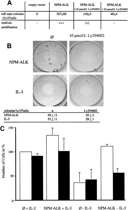 Fig. 5. Growth inhibition of transformed fibroblasts and primary bone marrow transduced with NPM-ALK by PI 3-kinase inhibitors. / (A) Rat-1 soft agar assay of NPM-ALK–transfected cells. Rat-1 cells were retrovirally transduced with either empty vector or NPM-ALK as described in the “Materials and methods” section. After 2 days, cells were selected for growth in soft agar medium. Colonies were scored after 12 days. Numbers of colonies represent means ± SD from triplicate experiments. (B) Primary murine bone marrow cells infected with NPM-ALK (upper 2 panels) or control-vector (lower 2 panels) were plated in methyl-cellulose without growth factors (upper 2 panels) or in the presence of 10 pg/mL IL-3 (lower 2 panels). Ten micromolars Ly290004 was added once were indicated. Representative pictures obtained after 10 days of culture from 2 independent experiments are shown. Absolute numbers of colonies are listed in the table. Data represent mean ± SD of 2 independent experiments. (C) Effect of PI3-kinase inhibitor wortmannin on growth of NPM-ALK–infected murine bone marrow (BM) cells in liquid culture. The 1 × 105 BM cells retrovirally transduced with empty vector (∅) or NPM-ALK were plated in BM-medium with or without 100 pg/mL mIL-3 as indicated. Wortmannin (200 nmol/L) was added daily to half of the wells (▪); ■, no wortmannin. The bars represent the percentage of cells present in the supernatant after 6 days of culture and the number of cells infected with control vector and supplemented with IL-3 was arbitrarily set as 100%. Data represent means ± SD of at least 2 independent experiments.