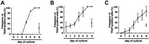 Fig. 2. Comparison of osteoclast development in liquid culture and in methylcellulose medium. / (A) Time course of the change in frequency of TRAP+ cells when c-Fms+RANK− cells were cultured with M-CSF and sRANKL in liquid (●) or methylcellulose medium (○) for 6 days. (B) Colonies cultured with M-CSF and sRANKL in methylcellulose were replated into liquid (●) or methylcellulose (○) and cultured with M-CSF and sRANKL for 6 days. Note that the frequency of TRAP+ cells increased in liquid culture but not in methylcellulose culture. (C) Colonies cultured with M-CSF alone were replated into liquid (●) or methylcellulose (○) individually and further cultured with M-CSF and sRANKL. Note that the cells in methylcellulose medium cultured with M-CSF alone still had a potency to differentiate into TRAP+ cells, especially in liquid culture.