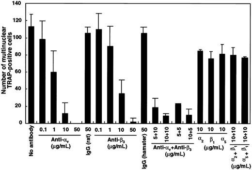 Fig. 9. Inhibition of multinuclear osteoclast formation by blocking antibody against αv and β3integrin. / c-Fms+RANK− cells (1 × 103) were cultured with M-CSF and sRANKL with blocking antibodies against various integrins. After 6 days of culture, the number of multinuclear TRAP+ cells was scored. Note that the number of multinuclear cells was significantly reduced in the presence of anti–αv- and/or anti–β3-blocking antibodies compared to isotype-matched control.