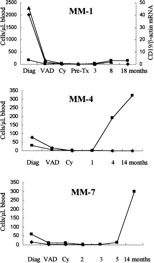 Fig. 1. Levels of CD19+ and clonal cells among PBMNCs. / The level of CD19+ (▪) and clonal cells (⧫) among PBMNCs as determined by flow cytometry and real-time ASO IgH PCR. In patient MM-1, the level of CD19 mRNA (▴) was measured by quantitative real-time CD19 RT-PCR. The amount of CD19 mRNA is given as the fraction of β-actin mRNA. Serial PB samples were obtained at diagnosis, after 3 cycles of VAD, after cyclophosphamide (Cy), before (pre-Tx) and after PBSC transplantation.