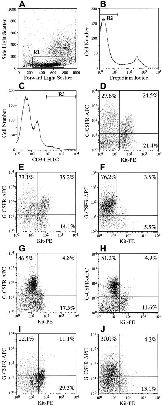 Fig. 1. Flow cytometric analysis of CD34, Kit (CD117), and G-CSFR (CD114) expression of bone marrow cells. / One million cells were simultaneously incubated with FITC-labeled monoclonal anti-CD34, PE-conjugated anti–c-Kit, and biotin-conjugated anti–G-CSFR for 30 to 40 minutes at 4°C. Cells were then washed twice and stained with streptavidin labeled with allophycocyanin for 15 minutes at 4°C. After the addition of PI at a concentration of 1 μg/mL, cells were applied to FACS Vantage. The appropriate isotype controls, FITC-, PE-, and biotin-conjugated mouse IgG1a were used to identify background staining. More than 3 × 105 events were collected and then analyzed. Low to medium forward scatter and low side scatter (A, R1) negative for PI fluorescence (B, R2), and positive for CD34 (C, R3) gates were used. The expressions of Kit and G-CSFR within gated cells are shown for representative subjects without SCN (D, E) and 5 patients with SCN (F, patient 1; G, patient 2; H, patient 3; I, patient 4; J, patient 5). Quadrant percentages are indicated in each cytogram. The quadrant percentages (mean ± SD) of Kit+/G-CSFR+, Kit+/G-CSFR−, Kit−/G-CSFR+, and Kit−/G-CSFR− cells in CD34+ cells in 9 subjects were 33.4 ± 8.8, 16.1 ± 6.2, 26.4 ± 9.5, and 24.1 ± 13.6, respectively. Those from 5 patients were 5.9 ± 3.5, 15.4 ± 8.9, 45.2 ± 21.0, and 33.5 ± 13.6, respectively. The difference in the frequency of Kit+/G-CSFR+cells between subjects without SCN and patients with SCN was statistically significant (P < .001).