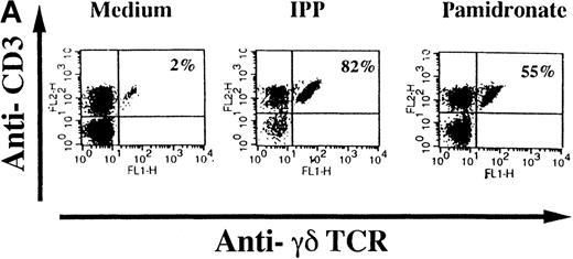 Fig. 2. Selective outgrowth of Vγ9Vδ2 T cells on stimulation with IPP or pamidronate. / Representative 2-color FACS analysis of PBMC after 7-day culture in the presence of medium, IPP (4 μmol/L), or pamidronate (4 μmol/L) using FITC anti-γδ TCR and PE anti-CD3 mAb (A). Expansion of γδ T cells in 7-day primary PBMC cultures of 6 different healthy donors by IPP (40 μmol/L) or pamidronate (40 μmol/L), as determined by 2-color FACS analysis. Results are expressed as mean ± SD of triplicates of 1 representative experiment (out of 3) for each donor (B). Analysis of TCR V gene expression of γδ T cells with specific mAb for Vγ9 and Vδ2 variable genes of the γδ TCR. Bars are mean values ± SD of triplicates of donor S.R. In the 5 other donors tested, the range of Vγ9Vδ2 TCR expression varied from 85% to 95% of all γδ T cells (C).