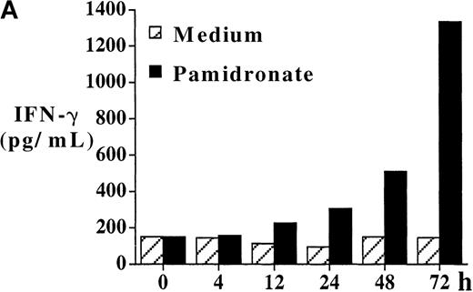 Fig. 5. IFN-γ production of activated γδ T cells. / PBMC were incubated with pamidronate (40 μmol/L) or medium alone. For a determination of the kinetics of IFN-γ secretion, supernatants were collected at indicated time points, and cytokine concentration was measured by ELISA. Each bar represents the mean values in triplicate for 1 representative donor (A). Intracellular IFN-γ expression of γδ T cells in response to IPP or pamidronate was measured by single-cell analysis after PBMC culture in medium alone or in the presence of IPP (40 μmol/L) or pamidronate (40 μmol/L) for 72 hours. After surface staining with a γδ TCR mAb, cells were fixed, permeabilized, and intracellularly stained with mAb against IFN-γ. Percentages of IFN-γ+ γδ T cells are given in the upper right panels (B). Controls using an isotype-matched control mAb in the presence of medium alone, IPP, or pamidronate always revealed less than 10% positive γδ T cells (data not shown). Results shown are representative for 3 independent experiments with different healthy donors.