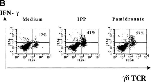 Fig. 5. IFN-γ production of activated γδ T cells. / PBMC were incubated with pamidronate (40 μmol/L) or medium alone. For a determination of the kinetics of IFN-γ secretion, supernatants were collected at indicated time points, and cytokine concentration was measured by ELISA. Each bar represents the mean values in triplicate for 1 representative donor (A). Intracellular IFN-γ expression of γδ T cells in response to IPP or pamidronate was measured by single-cell analysis after PBMC culture in medium alone or in the presence of IPP (40 μmol/L) or pamidronate (40 μmol/L) for 72 hours. After surface staining with a γδ TCR mAb, cells were fixed, permeabilized, and intracellularly stained with mAb against IFN-γ. Percentages of IFN-γ+ γδ T cells are given in the upper right panels (B). Controls using an isotype-matched control mAb in the presence of medium alone, IPP, or pamidronate always revealed less than 10% positive γδ T cells (data not shown). Results shown are representative for 3 independent experiments with different healthy donors.