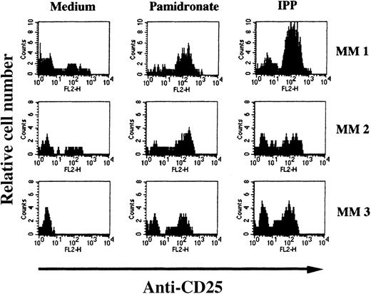 Fig. 7. Induction of CD25 (IL-2 receptor chain) expression on BM γδ T cells of patients with MM. / BMMC of patients with MM were incubated with IPP (4 μmol/L) or pamidronate (4 μmol/L), and the relative cell number of CD25+ γδ T cells was determined by 2-color FACS analysis using anti-CD25 and anti-γδ TCR mAb after 72 hours of culture. Solid areas represent the fluorescence distribution of CD25 expression after gating on γδ TCR+ cells in 3 representative patients with MM.