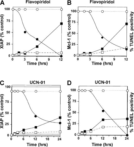 Fig. 4. Time-course of flavopiridol- and UCN-01–induced decreases in XIAP and Mcl-1 protein levels. / B-CLL cells were cultured with (shaded symbols) or without (open symbols) 0.1 μmol/L flavopiridol (panels A and B) or 1 μmol/L UCN-01 (panels C and D). At various times, cells were recovered from cultures, and either lysates were prepared for immunoblot analysis (circles) with the use of antibodies specific for XIAP (panels A and C) or Mcl-1 (panels B and D) and the data were expressed as a percentage of untreated cells, or apoptosis was determined by TUNEL assay (squares). Data are representative of results obtained from 3 consecutive B-CLL specimens.