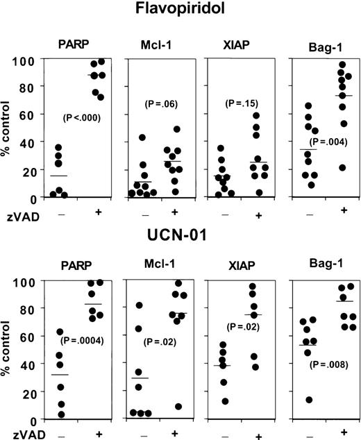 Fig. 5. Effects of caspase inhibitor zVAD-fmk on changes in apoptosis protein levels induced by flavopiridol and UCN-01 in B-CLL cells. / B-CLL cells derived from 6 to 9 patients were cultured with (+) or without (−) 100 μmol/L zVAD-fmk and either 0.1 μmol/L flavopiridol (top) or 1 μmol/L UCN-01 (bottom). After 18 to 24 hours, cell lysates were prepared, normalized for total protein content, and analyzed by immunoblotting with the use of antibodies specific for PARP, Mcl-1, XIAP, or Bag-1. Data were quantified by scanning densitometry and expressed as a percentage relative to control: untreated B-CLL cells. PARP data refer to loss of the full-length 110 kd protein, which undergoes caspase-mediated cleavage. Data were compared by means of a paired t test (Pvalues shown). Bars indicate mean of data points.