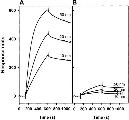 Fig. 4. Surface plasmon resonance analysis of the binding of IF–Cbl flowing along BIAcore CM5 sensor chips with immobilized wild-type or FM1 mutant form of CUB 5-8. / (A) The IF-Cbl binding to the wild-type CUB 5-8 protein with a flow concentration of 10, 20, and 50 nmol/L ligand. (B) The IF–Cbl binding to the FM1 mutant CUB 5-8 protein with a flow concentration of 10, 20, and 50 nmol/L ligand. The BIA evaluation 3.0 software showed the best fit to a 1-site model with the following binding parameters: wild-type CUB 5-8: Kd = 2 nmol/L; kon = 1.3 × 105mol/L−1s−1; koff= 3.0 × 10−4s−1; FM1 mutant CUB 5-8: Kd= 10 nmol/L; kon = 4.2 × 10.4 mol/L−1 s−1;koff = 4.1 × 10−4s−1.
