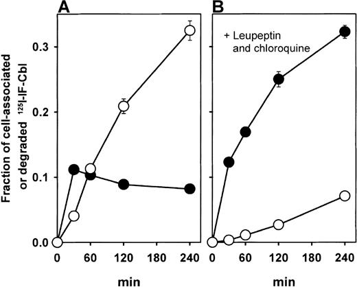 Fig. 5. Uptake of 125I–IF–Cbl in cubilin-expressing epithelial cells and inhibition with the wild-type and FM1 mutant CUB 5-8 proteins. / (A) Time-course for cell association (•) and degradation (○) of iodine 125–IF–Cbl. (B) Time-course for uptake and degradation of iodine 125–IF–Cbl in the presence of chloroquine and leupeptin. Values are the mean ± 1 SD of triplicate experiments.