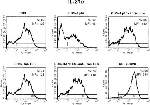Fig. 3. Down-regulation of IL-2R expression by Lptn. / CD4+ T cells were activated for 3 days with the indicated stimuli, then stained with the FITC- or PE-conjugated mAbs listed in “Materials and methods,” including IL-2Rα mAb, and analyzed by FACS. Mean fluorescence intensity (MFI) and percent of positive cells relative to IL-2Rα expression are indicated. For unstimulated cells, these values were 11% and 6%. For IL-2Rβ, expression of which is not affected by Lptn, they were 8% and 4% (medium), 17% and 61% (CD3), 16% and 50% (CD3+Lptn), 22% and 71% (CD3+Lptn+anti-Lptn), 20% and 64% (CD3+RANTES), 17% and 55% (CD3+RANTES+anti-RANTES). This experiment is 1 among 3 independent determinations performed with different donors.