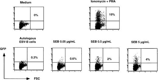 Fig. 3. SEB concentration-dependent induction of GFP in SIN-(NFAT)6-GFP–transduced unfractionated T-cell cultures. / SIN-(NFAT)6-GFP–transduced T cells were stimulated overnight in the presence of different concentrations of SEB presented by autologous EBV-B cells. As negative controls, T cells were incubated in medium alone or with the autologous EBV-B cells alone. As a positive control, we incubated cells with PMA in combination with ionomycin. Indicated in the figure is the percentage of GFP positive cells. Shown are representative data from 2 independent experiments.