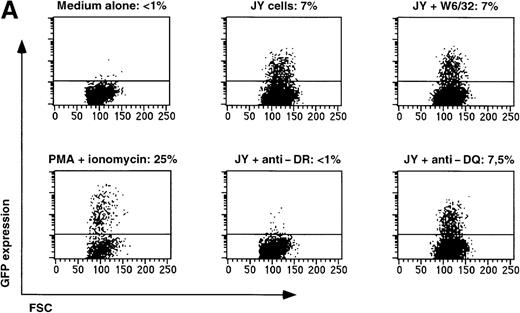 Fig. 4. Expression of GFP in JS136 and melanoma-specific T cell clone. / (A) Induction of GFP expression in T-cell clone JS136 transduced with SIN-(NFAT)6-GFP by its specific target JY is inhibited by anti–HLA-DR antibodies. JS136 T cells transduced with the reporter construct SIN-(NFAT)6-GFP were incubated with JY target cells in the presence or absence of anticlass I (W6/32) or class II (anti–HLA-DQ or -DR) antibodies. Indicated is the percentage of GFP positive T cells after an overnight incubation with JY target cells. Non-JY EBV-B targets were used as negative controls and did not induce GFP expression (data not shown). Stimulation of cells with PMA and ionomycin served as a positive control. Shown are representative data from 3 independent experiments. (B) Melanoma cells induce expression of GFP in a Mart1/MelanA specific CD8+ T-cell clone. Melanoma specific T cells transduced with the reporter construct SIN-(NFAT)6-GFP were incubated with autologous melanoma cells or EBV-B cells. Indicated is the percentage of GFP positive cells. Stimulation of cells with PMA and ionomycin served as a positive control. Shown are representative data from 2 independent experiments.