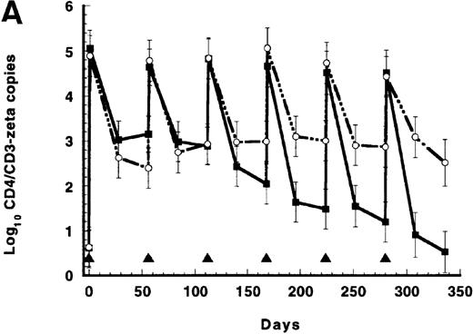 Fig. 1. Results of repeated infusions of receptor-modified syngeneic T cells. / (A) Persistence of CD4/CD3-ζ–modified CD8+ T cells in the 17 patients who received gene-modified CD8+T cells without interleukin 2 (IL-2) (closed squares and solid line) and in the 4 patients who received gene-modified CD8+ T cells with IL-2 (open circles and broken line). Quantitative competitive DNA polymerase chain reaction (PCR) for the CD4/CD3-ζ gene was performed on peripheral blood mononuclear cells (PBMC), and results were expressed as log10 DNA copies per million CD8+T cells. The closed triangles spaced at 56-day intervals represent the timing of each cell infusion with and without IL-2. Data were modeled for individual patients, and a mixed-model analysis was used to derive the mean of each time point for the 2 groups. SEs are between 0.40 and 0.52 at each point. (B) Persistence of CD4/CD3-ζ–modified CD4+ T cells (closed squares and solid line) and CD8+ T cells (open circles and broken line) in the 14 patients who received modified CD4+ and CD8+ cells without IL-2. Data were modeled as described for Figure 1A and results expressed as log10 DNA copies per million CD4+ or CD8+ cells. The closed triangles spaced at 14-day intervals represent the timing of the 3 cell infusions. SEs are between 0.02 and 0.03 at each point. (C) Mean plasma human immunodeficiency virus (HIV) RNA levels in recipients of modified CD8+ T-cell infusions (closed squares and solid line, n = 17) and in recipients of unmodified CD8+ T cells (open circles and broken line, n = 9). Data were modeled as described for Figure 1A and results expressed as log10 HIV RNA copies per milliliter. Closed triangles represent the timing of cell infusions. P = .29 for the differences between the slopes of the 2 curves estimated with an interval-adjusted linear mixed model. (D) Mean CD4+ T lymphocyte counts in recipients of modified CD8+ T-cell infusions (closed squares and solid line, n = 17) and in recipients of unmodified CD8+ T cells (open circles and broken line, n = 9). Data were modeled as described for Figure 1A and results expressed as cells per milliliter. Closed triangles represent the timing of cell infusions. P = .89 for the difference between the slopes of the 2 curves estimated with an interval-adjusted linear mixed model as described for Figure 1C.