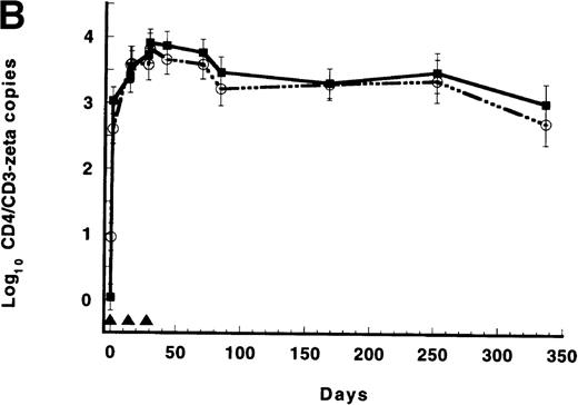 Fig. 1. Results of repeated infusions of receptor-modified syngeneic T cells. / (A) Persistence of CD4/CD3-ζ–modified CD8+ T cells in the 17 patients who received gene-modified CD8+T cells without interleukin 2 (IL-2) (closed squares and solid line) and in the 4 patients who received gene-modified CD8+ T cells with IL-2 (open circles and broken line). Quantitative competitive DNA polymerase chain reaction (PCR) for the CD4/CD3-ζ gene was performed on peripheral blood mononuclear cells (PBMC), and results were expressed as log10 DNA copies per million CD8+T cells. The closed triangles spaced at 56-day intervals represent the timing of each cell infusion with and without IL-2. Data were modeled for individual patients, and a mixed-model analysis was used to derive the mean of each time point for the 2 groups. SEs are between 0.40 and 0.52 at each point. (B) Persistence of CD4/CD3-ζ–modified CD4+ T cells (closed squares and solid line) and CD8+ T cells (open circles and broken line) in the 14 patients who received modified CD4+ and CD8+ cells without IL-2. Data were modeled as described for Figure 1A and results expressed as log10 DNA copies per million CD4+ or CD8+ cells. The closed triangles spaced at 14-day intervals represent the timing of the 3 cell infusions. SEs are between 0.02 and 0.03 at each point. (C) Mean plasma human immunodeficiency virus (HIV) RNA levels in recipients of modified CD8+ T-cell infusions (closed squares and solid line, n = 17) and in recipients of unmodified CD8+ T cells (open circles and broken line, n = 9). Data were modeled as described for Figure 1A and results expressed as log10 HIV RNA copies per milliliter. Closed triangles represent the timing of cell infusions. P = .29 for the differences between the slopes of the 2 curves estimated with an interval-adjusted linear mixed model. (D) Mean CD4+ T lymphocyte counts in recipients of modified CD8+ T-cell infusions (closed squares and solid line, n = 17) and in recipients of unmodified CD8+ T cells (open circles and broken line, n = 9). Data were modeled as described for Figure 1A and results expressed as cells per milliliter. Closed triangles represent the timing of cell infusions. P = .89 for the difference between the slopes of the 2 curves estimated with an interval-adjusted linear mixed model as described for Figure 1C.