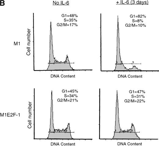 Fig. 2. Growth properties of M1 and M1E2F-1 cells untreated and treated with IL-6. / (A) Growth kinetics of M1 and M1E2F-1 cells treated with IL-6. Cells were seeded at 0.15 × 106/mL in the presence or absence of IL-6 (50 ng/mL) and the number of viable cells was determined at the indicated times by trypan blue dye exclusion and counting in a hemocytometer. On day 3 untreated M1 and M1E2F-1 cells and IL-6–treated M1E2F-1 cells were diluted and reseeded at 0.15 × 106/mL. Each time point is the average of at least 3 experiments, with a standard deviation of up to 15%. Four other independent M1E2F-1 clones gave similar results and M1-puromycin control clones behaved indistinguishably from parental M1 cells. (B) Flow cytometric analysis (FACS) of IL-6–treated M1 and M1E2F-1 cells. FACS analysis was carried out as described in “Materials and methods.” Note the lack of a sub-G0/G1 peak in the IL-6–treated M1E2F-1 sample, indicating an absence of apoptotic cells.
