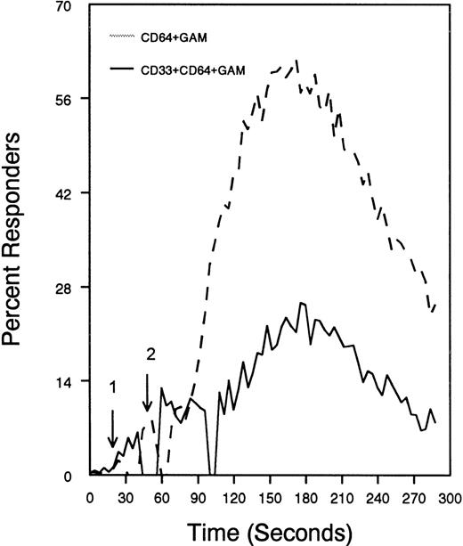 Fig. 7. CD33-mediated inhibition of FcγRI-induced calcium mobilization in interferon γ-treated (250 U/mL for 48 hours) U937 cells. / Cells were loaded with calcium-sensitive dyes then stimulated with anti-CD64 or anti-CD64 + anti-CD33 as indicated (arrow 1) followed by GAM (arrow 2). Calcium was monitored with cells at 37°C.