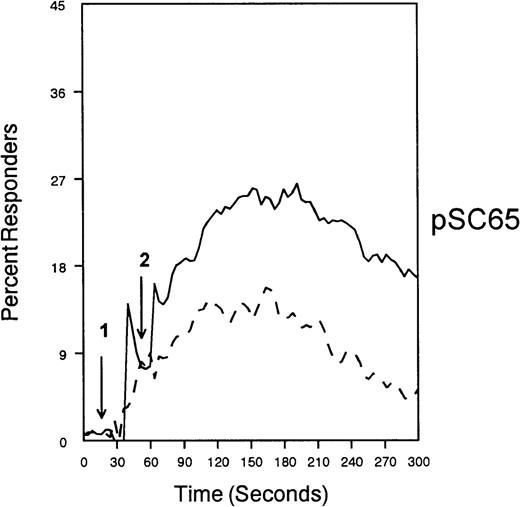 Fig. 8. SHP-1 mediates CD33-induced inhibition of Ca++ mobilization. / U937 cells were primed with IFNγ as above, infected with the indicated vaccinia virus, then loaded with calcium-sensitive dyes and stimulated with anti-CD64 and IgG (solid trace) or anti-CD64 and anti-CD33 (broken trace).