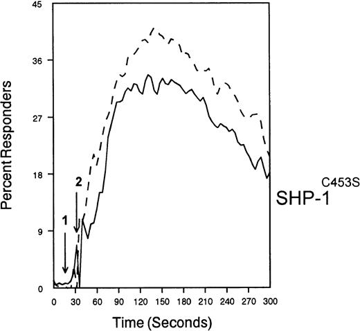 Fig. 8. SHP-1 mediates CD33-induced inhibition of Ca++ mobilization. / U937 cells were primed with IFNγ as above, infected with the indicated vaccinia virus, then loaded with calcium-sensitive dyes and stimulated with anti-CD64 and IgG (solid trace) or anti-CD64 and anti-CD33 (broken trace).