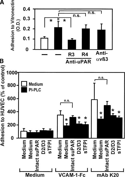 Fig. 6. Requirement of uPAR for leukocyte adhesion in response to VLA-4 ligation. / (A) Myelomonocytic HL60 cells were treated with medium alone (open bar) or with mAb K20 (20 μg/mL, filled bars) for 30 minutes at 37°C. Following washing, adhesion to immobilized vitronectin was performed in the presence or absence of mAbs anti-uPAR R3 (blocking), R4 (nonblocking), or anti-αvβ3 LM609 (20 μg/mL) as described. Values represent the mean ± SEM of 3 independent experiments. (B) Myelomonocytic HL60 cells were treated with medium alone (open bars) or pretreated with phosphatidylinositol-specific phospholipase C (0.5 U/mL) for 90 minutes at 37°C (filled bars), washed, and incubated for 10 minutes in the absence or presence of soluble intact uPAR (D1-D3, 16 nmol/L), the truncated form of uPAR (D2/D3, 20 nmol/L) lacking domain 1, or with soluble tissue factor pathway inhibitor (sTFPI; 16 nmol/L), followed by incubation for 20 minutes with medium, soluble VCAM-1–Fc (40 μg/mL), or mAb K20 (15 μg/mL) as indicated. Following washing, adhesion to endothelial cell monolayers was performed as described. Values are displayed as percentage of control (no pretreatment, 100%) and represent the mean ± SEM of 3 independent experiments. *Indicates P < .01 compared with the respective medium control; n.s., not significant (P > .05).