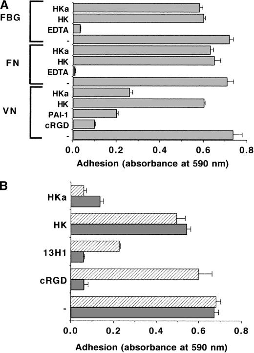 Fig. 1. The role of kininogen on integrin-mediated endothelial cell adhesion. / (A) The adhesion of BRECs to VN-, fibronectin (FN)- and FBG-coated wells was analyzed in the absence (−) or in the presence of the competitors HK, HKa, or cRGDfV (10 μg/mL each), 100 nmol/L PAI-1, or 10 mmol/L ethylenediaminetetraacetic acid as indicated. The extent of cell adhesion is presented as absorbance at 590 nm. Data are mean ± SEM (n = 3) of a typical experiment, and similar results were obtained in at least 3 separate experiments. (B) The effect of HK, HKa, cRGDfV (10 μg/mL each), or 20 μg/mL anti-VN mAb 13H1 on the adhesion of BREC to VN was studied according to 2 different protocols: (a) Cells and competitors were added simultaneously to the VN-coated wells (filled bars), and (b) VN-coated wells were blocked and then incubated for 1 hour with the different competitors followed by extensive washing and addition of cells (hatched bars). The extent of cell adhesion is presented as absorbance at 590 nm. Data are mean ± SEM (n = 3) of a typical experiment; similar results were obtained in at least 3 separate experiments.